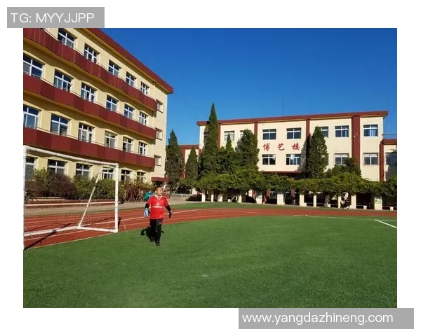 足球绘本书:带你走进绿茵场的奇妙世界与梦想之旅