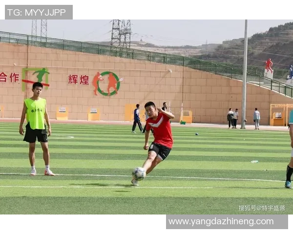 足球训练记：在绿茵场上追逐梦想与拼搏的青春岁月