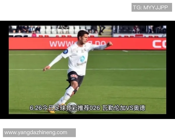 足球消费价格分析及其对球迷行为的影响探讨