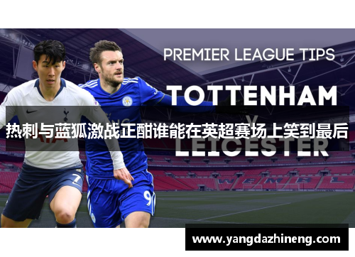 热刺与蓝狐激战正酣谁能在英超赛场上笑到最后