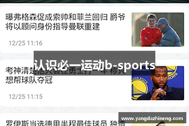 认识必一运动b-sports